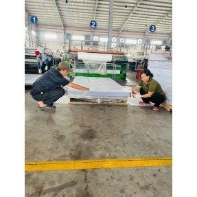 Standard PP Corrugated Hollow Danpla Sheet